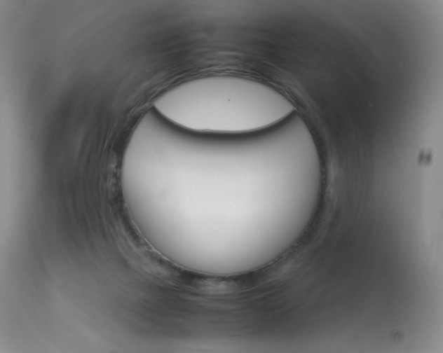 X0000114140073200910081036