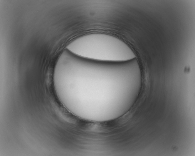 X0000114140074200910081036