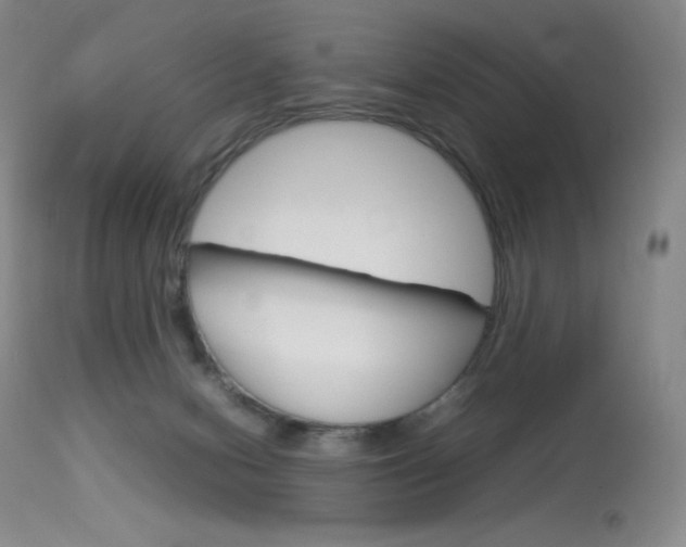 X0000114140078200910081036