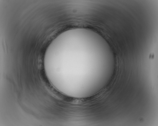 X0000114140080200910081036