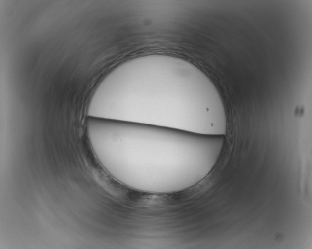 X0000114140082200910081036