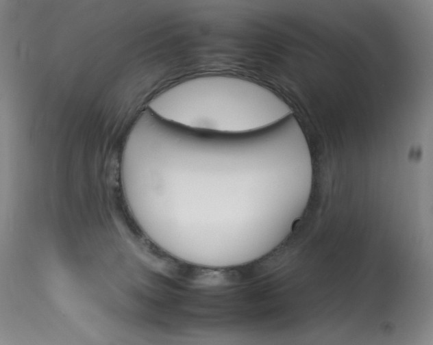 X0000114140083200910081036