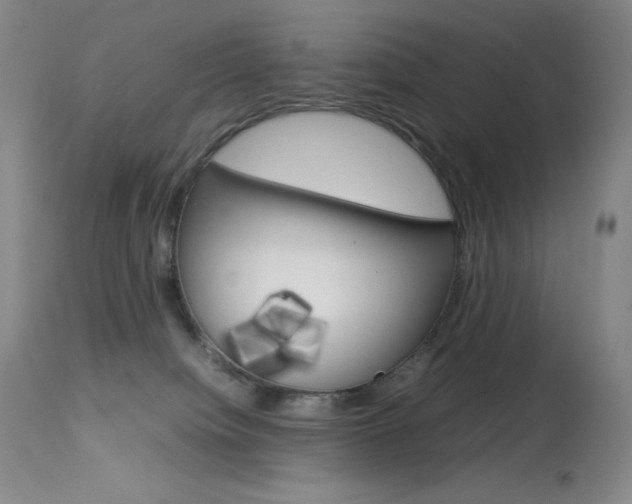 X0000114140084200910081036