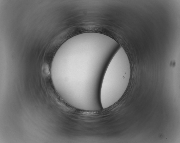 X0000114140089200910081036