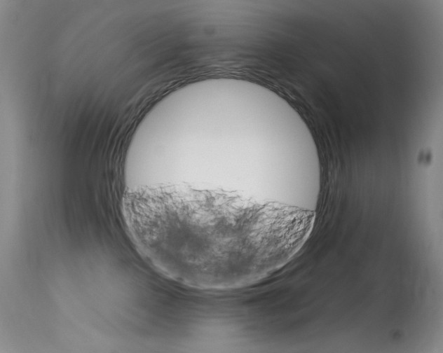 X0000114140090200910081036