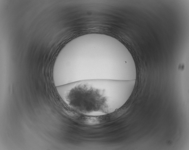 X0000114140091200910081036