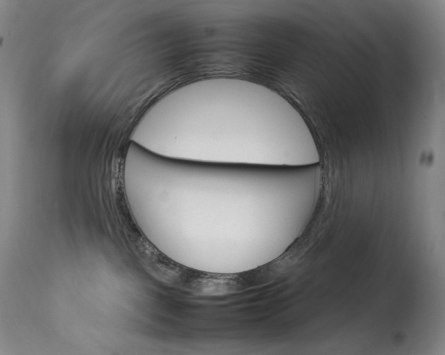 X0000114140093200910081037