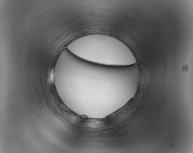 X0000114140095200910081037