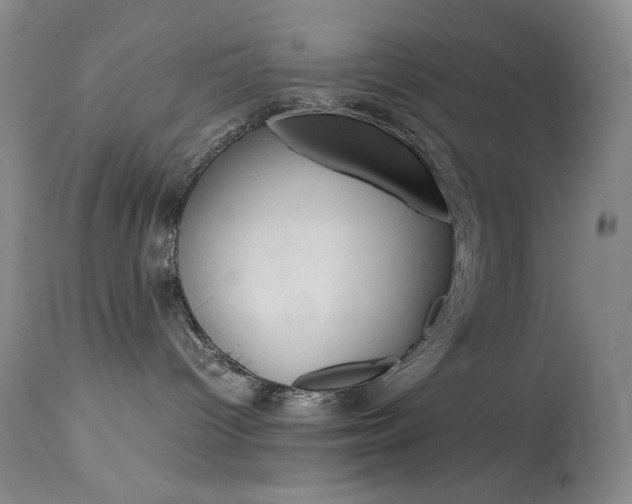 X0000114140096200910081037