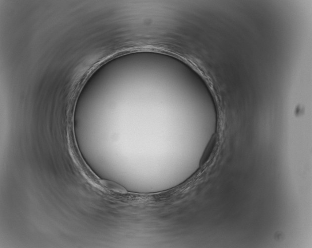 X0000114140097200910081036