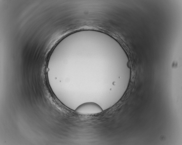 X0000114140098200910081036