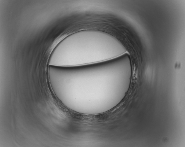 X0000114140099200910081036