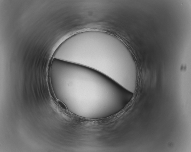 X0000114140100200910081036