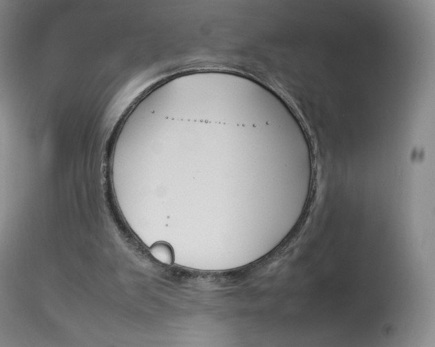 X0000114140103200910081036