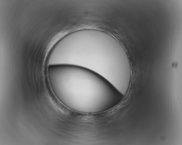 X0000114140104200910081036