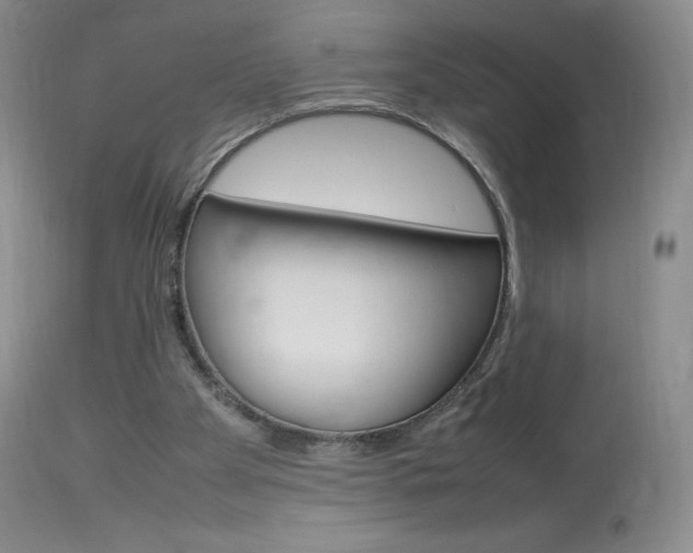 X0000114140105200910081035