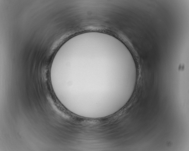 X0000114140106200910081035