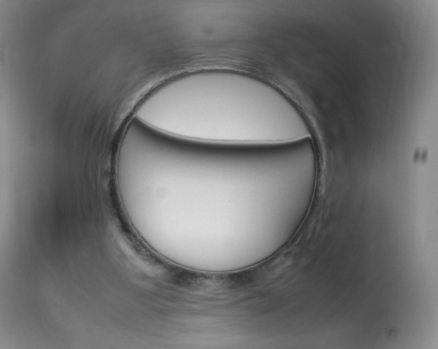 X0000114140107200910081035