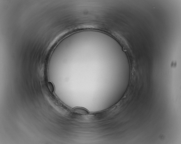 X0000114140108200910081035