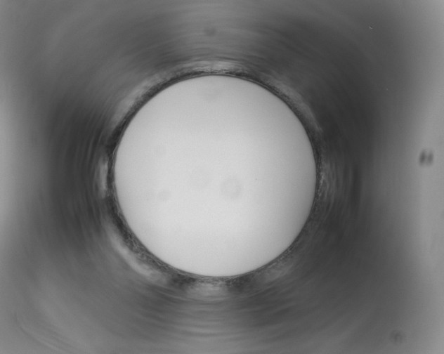 X0000114140110200910081035