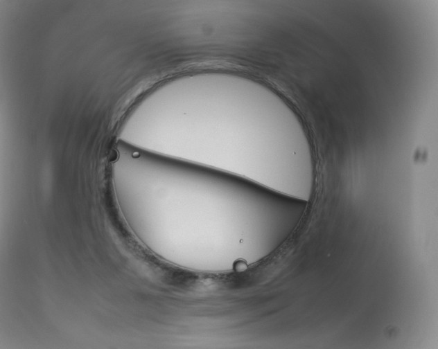 X0000114140111200910081035