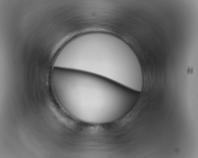 X0000114140112200910081035