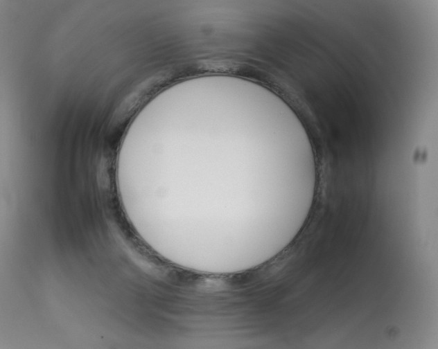 X0000114140114200910081035