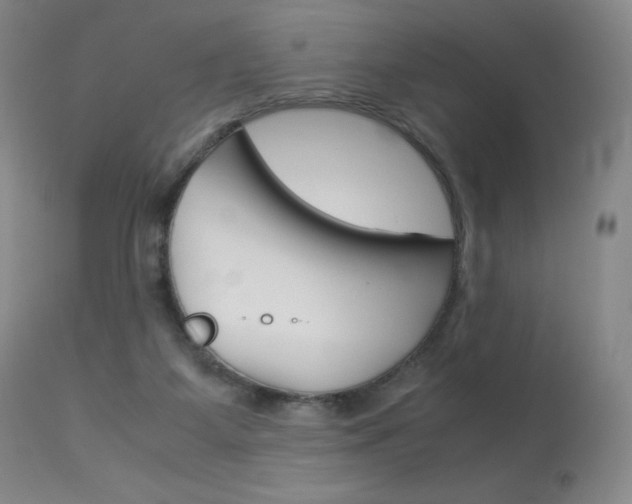 X0000114140115200910081035