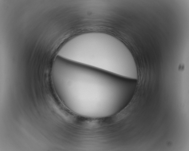 X0000114140120200910081035