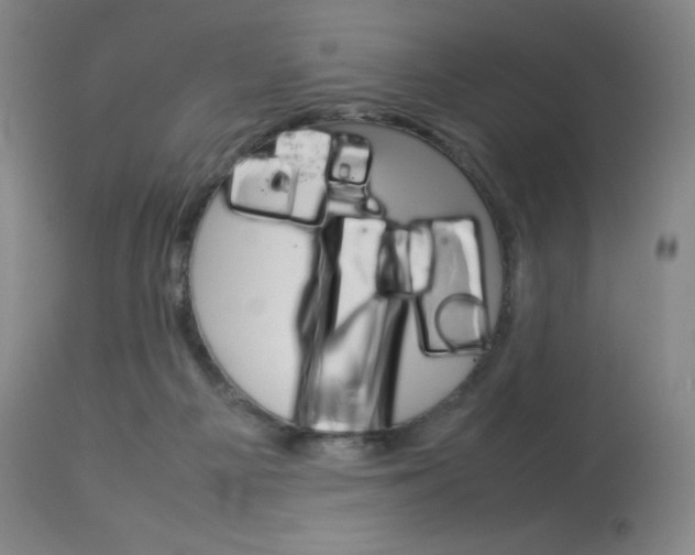 X0000114140121200910081035