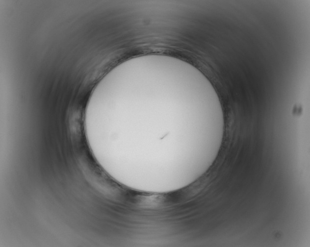 X0000114140122200910081035