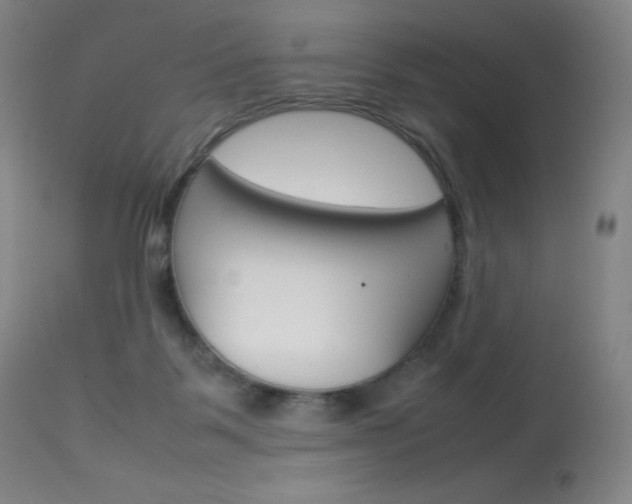 X0000114140123200910081035