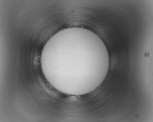 X0000114140126200910081035