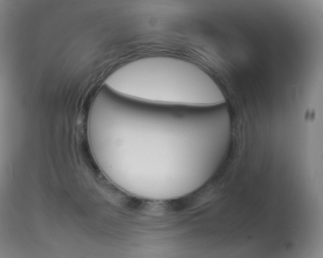 X0000114140127200910081035