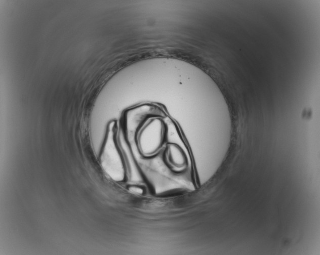 X0000114140129200910081035