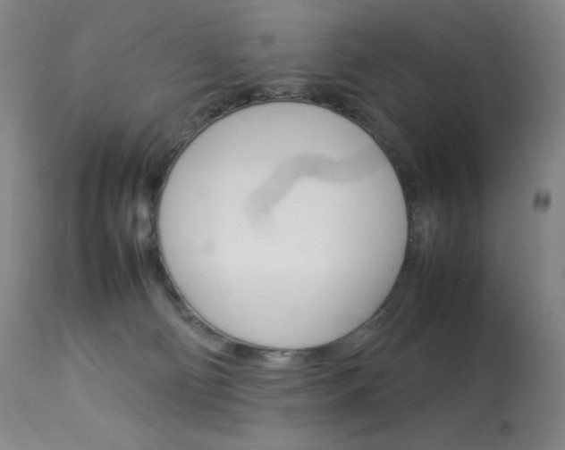 X0000114140130200910081035