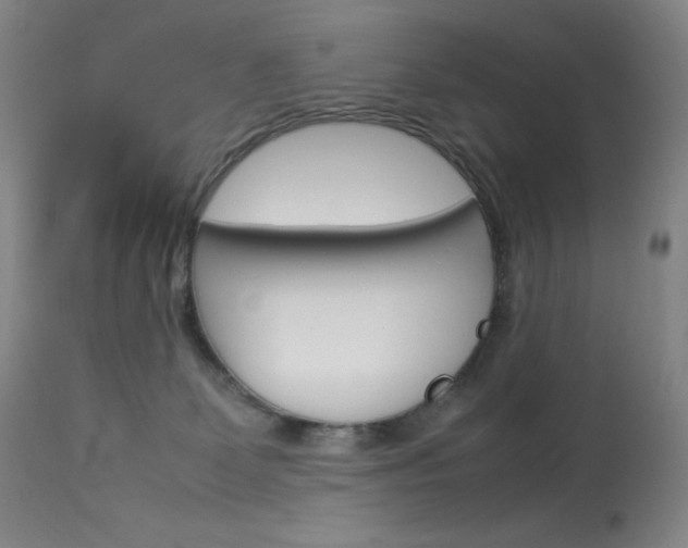 X0000114140131200910081035