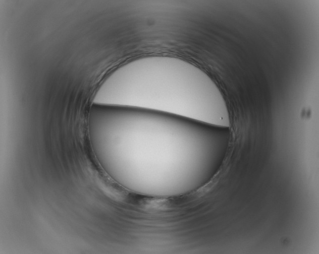 X0000114140132200910081035