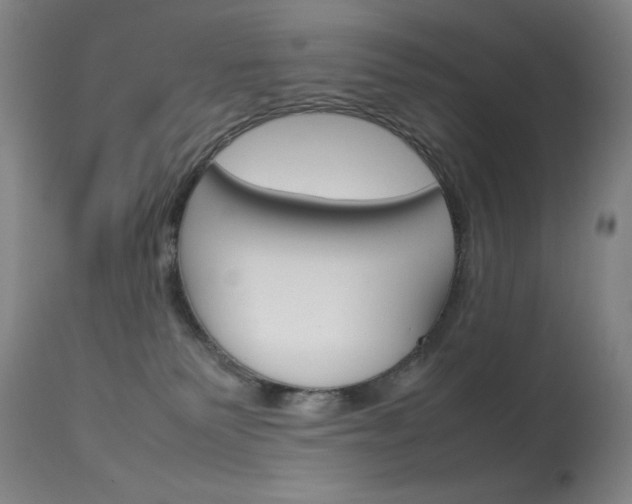 X0000114140135200910081035