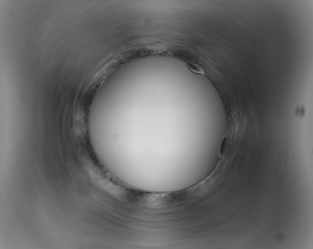 X0000114140136200910081035