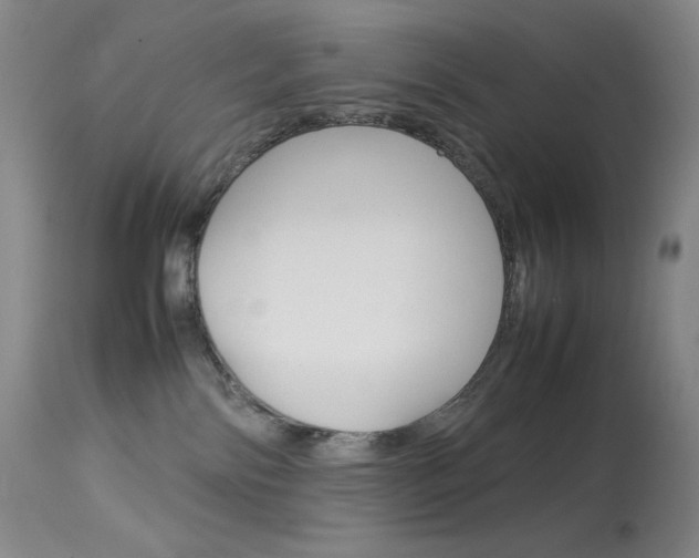 X0000114140138200910081035