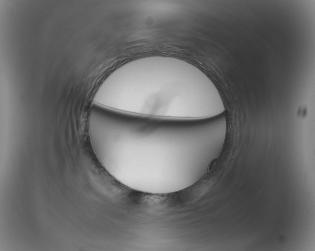 X0000114140139200910081035