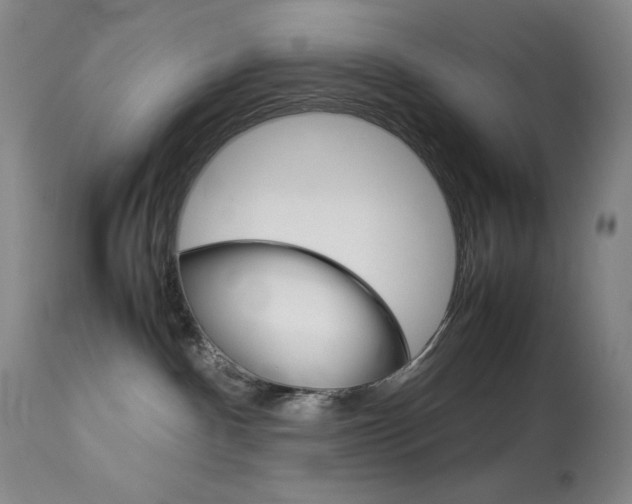 X0000114140140200910081035