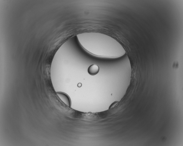 X0000114140141200910081035