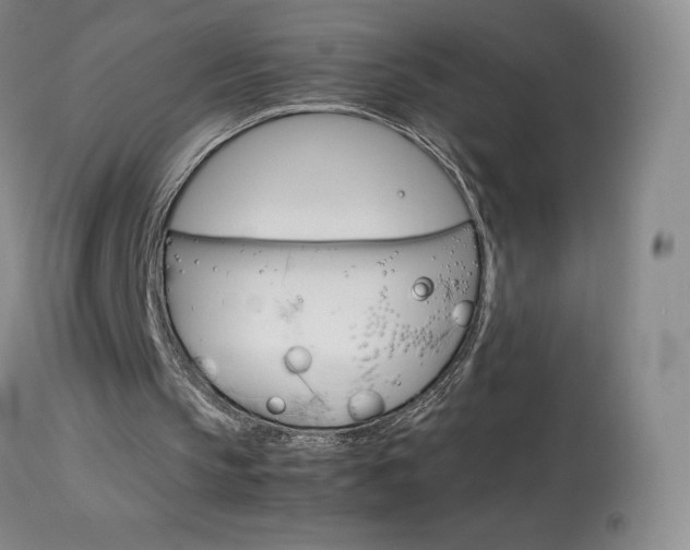 X0000114140145200910081034