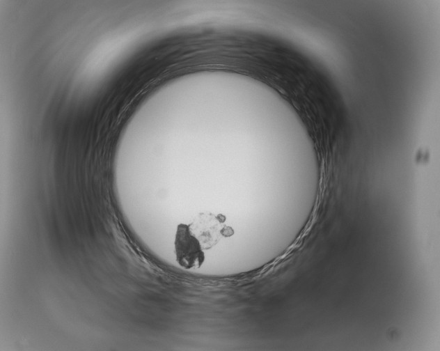 X0000114140146200910081034