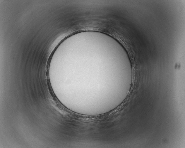 X0000114140147200910081034