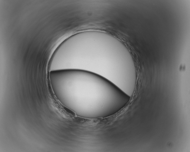 X0000114140148200910081034