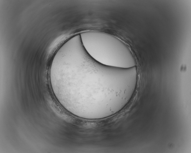 X0000114140149200910081034