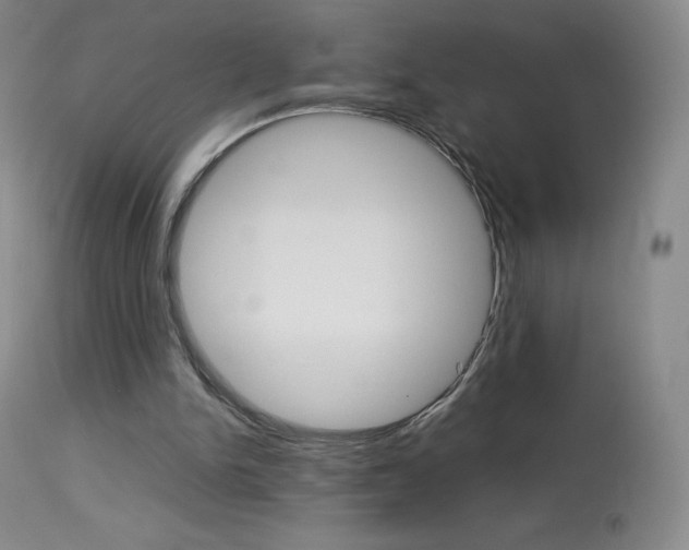 X0000114140150200910081034